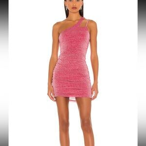 Jayden mini dress in berry